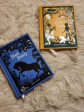 Barnes & Noble Leatherbound Children's Classic Books - 2
